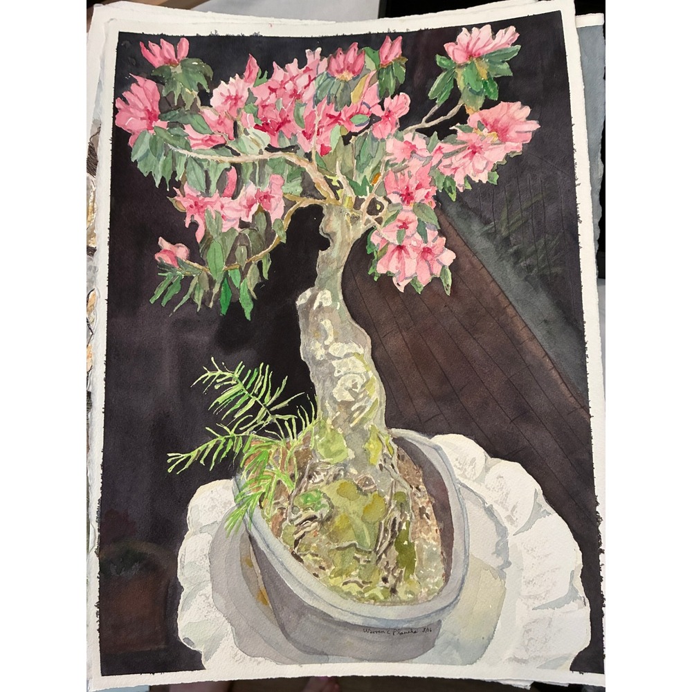 Bonsai Azalea Harahan LA Warren C Plauche Original Watercolor 11x15 2006